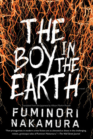 The Boy in the Earth (ebook)