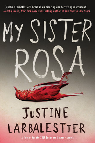 My Sister Rosa (ebook)