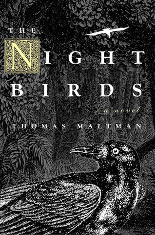 Night Birds